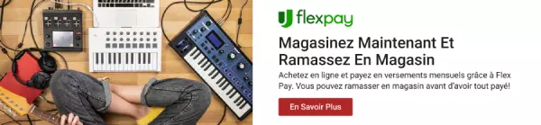 flex pay banner